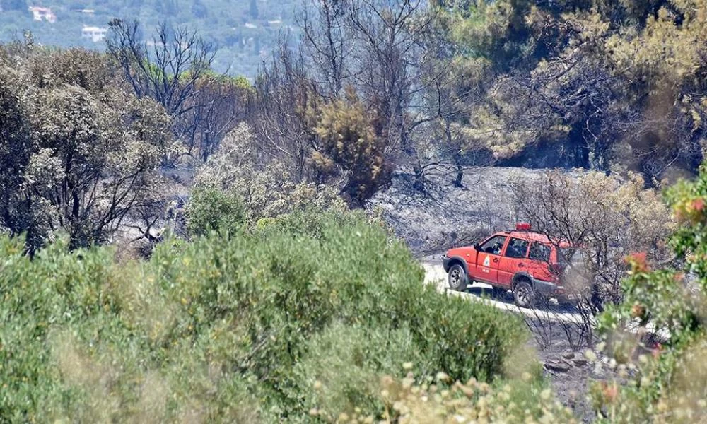 Μεγάλη φωτιά στη Ροδόπη - Εκκενώθηκε οικισμός